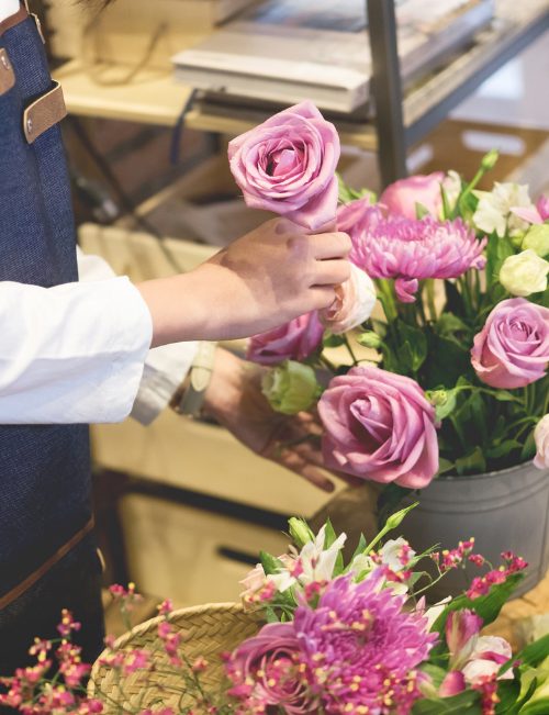 Fleuristes et animaux familiers